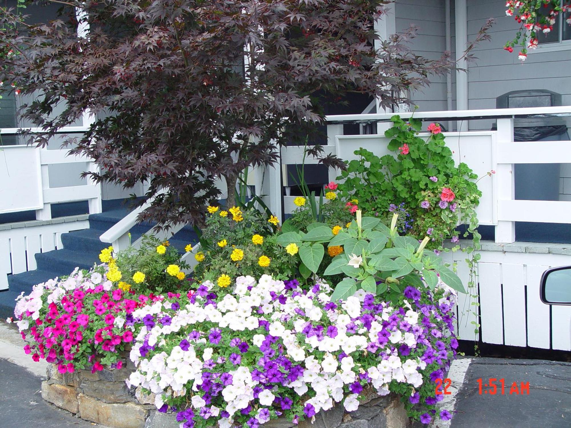 Browns Wharf Inn Boothbay Harbor Exterior photo